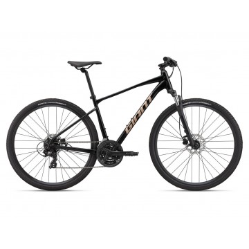 GIANT Roam Disc 4 2022